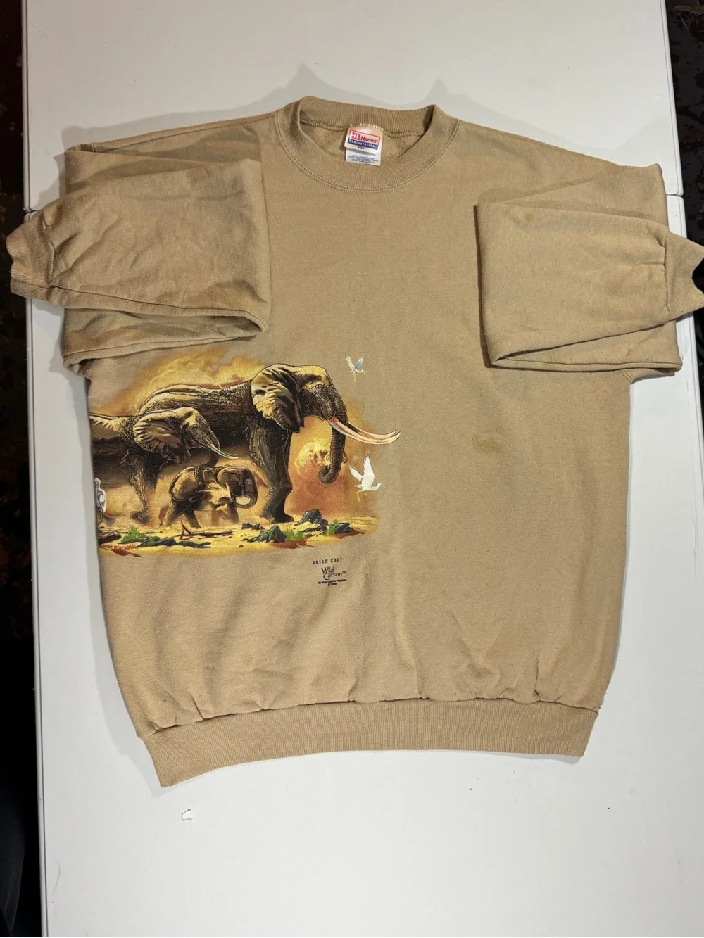 90s Vintage Hanes Wild Cotton Brian Kalt Elephant Sweatshirt Size L Made USA